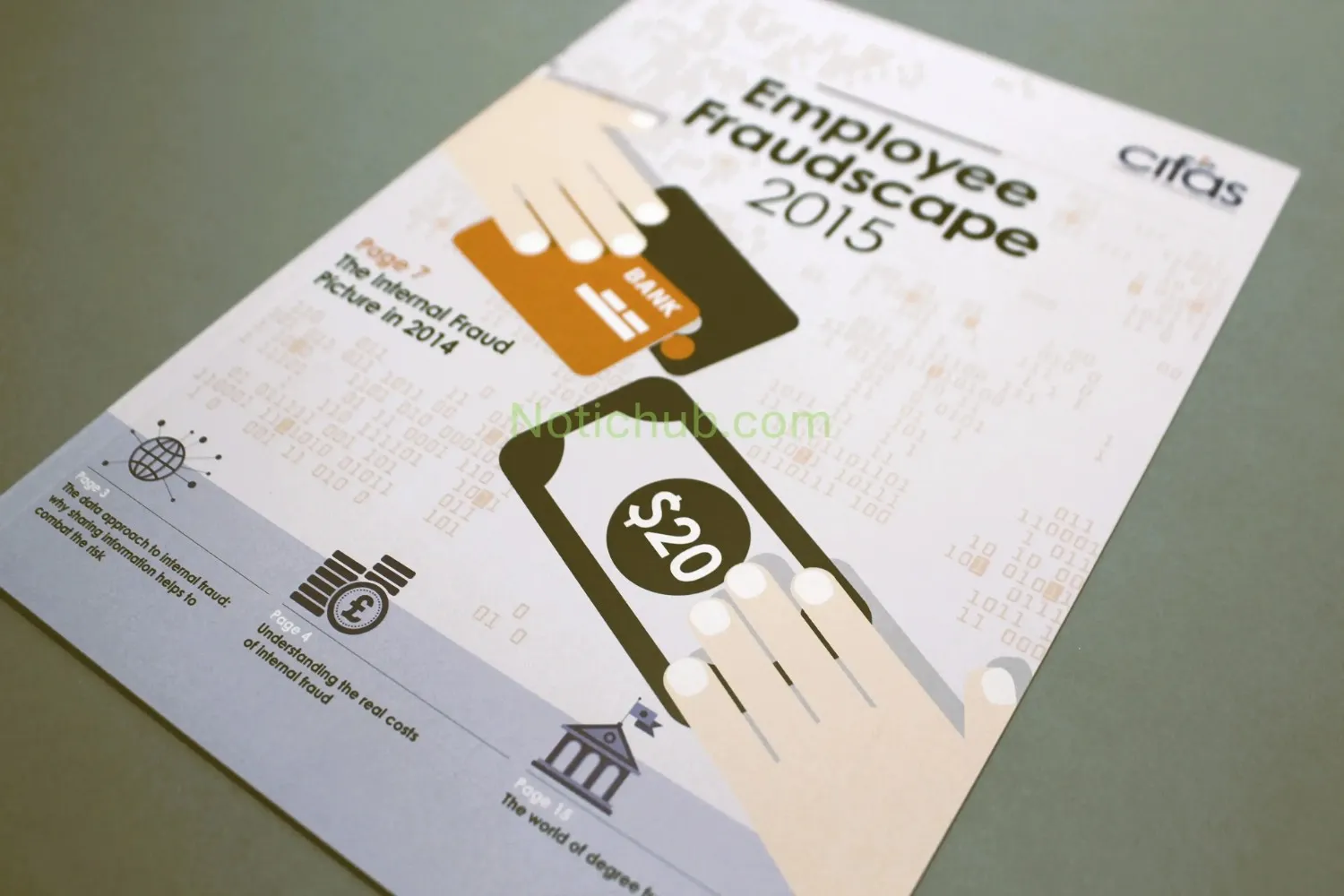 Data Integrity Manager – Compliance & Fraud Prevention